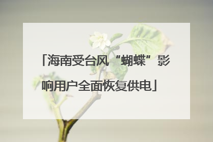 海南受台风“蝴蝶”影响用户全面恢复供电