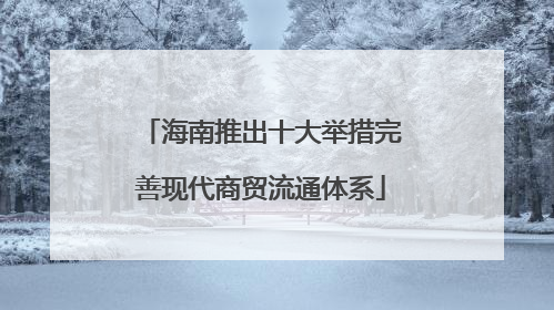 海南推出十大举措完善现代商贸流通体系