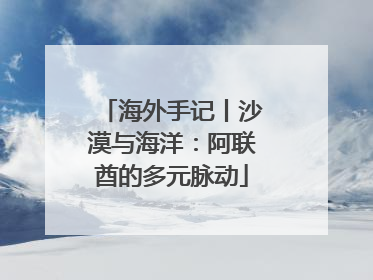 海外手记丨沙漠与海洋：阿联酋的多元脉动