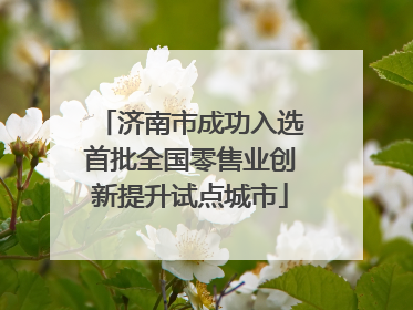 济南市成功入选首批全国零售业创新提升试点城市