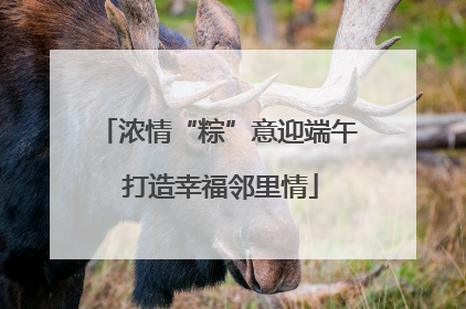 浓情“粽”意迎端午 打造幸福邻里情