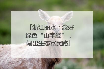 浙江丽水：念好绿色“山字经”，闯出生态富民路