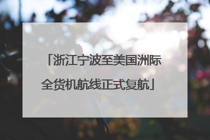 浙江宁波至美国洲际全货机航线正式复航