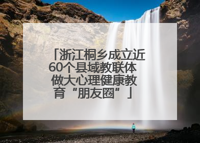 浙江桐乡成立近60个县域教联体 做大心理健康教育“朋友圈”