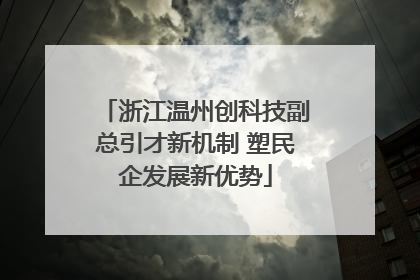 浙江温州创科技副总引才新机制 塑民企发展新优势