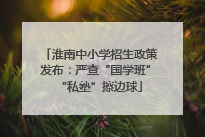 淮南中小学招生政策发布：严查“国学班”“私塾”擦边球