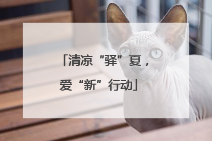 清凉“驿”夏，爱“新”行动