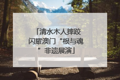 清水木人摔跤 闪耀澳门“根与魂”非遗展演