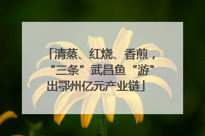 清蒸、红烧、香煎，“三条”武昌鱼“游”出鄂州亿元产业链