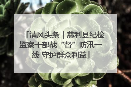 清风头条｜慈利县纪检监察干部战“督”防汛一线 守护群众利益