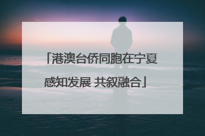 港澳台侨同胞在宁夏感知发展 共叙融合
