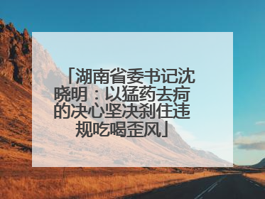 湖南省委书记沈晓明：以猛药去疴的决心坚决刹住违规吃喝歪风