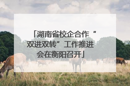 湖南省校企合作“双进双转”工作推进会在衡阳召开
