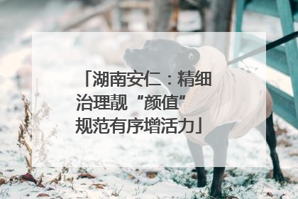 湖南安仁：精细治理靓“颜值” 规范有序增活力