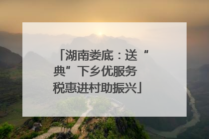 湖南娄底：送“典”下乡优服务 税惠进村助振兴