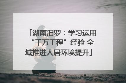 湖南汨罗：学习运用“千万工程”经验 全域推进人居环境提升