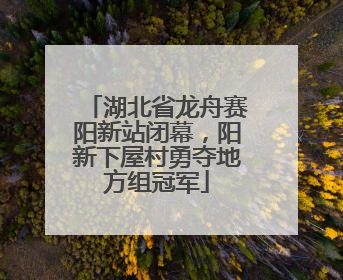 湖北省龙舟赛阳新站闭幕，阳新下屋村勇夺地方组冠军