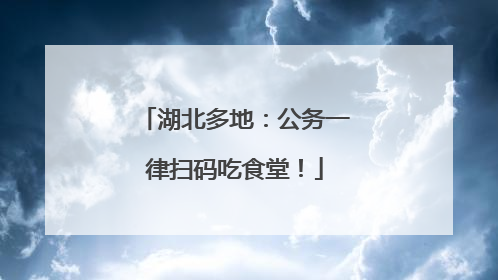 湖北多地：公务一律扫码吃食堂！