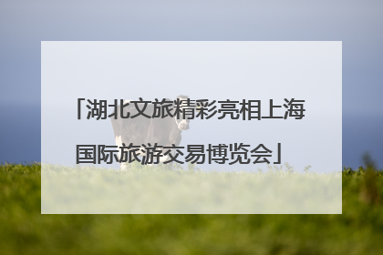 湖北文旅精彩亮相上海国际旅游交易博览会