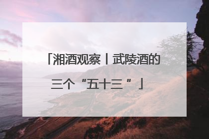 湘酒观察丨武陵酒的三个“五十三 ”