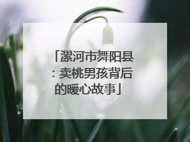 漯河市舞阳县：卖桃男孩背后的暖心故事