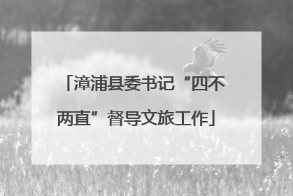 漳浦县委书记“四不两直”督导文旅工作