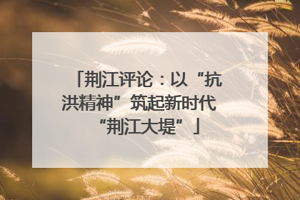 荆江评论：以“抗洪精神”筑起新时代“荆江大堤”