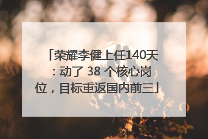 荣耀李健上任140天：动了 38 个核心岗位，目标重返国内前三