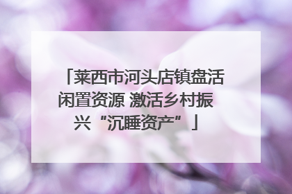 莱西市河头店镇盘活闲置资源 激活乡村振兴“沉睡资产”