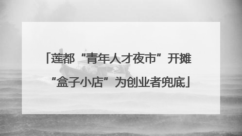 莲都“青年人才夜市”开摊 “盒子小店”为创业者兜底