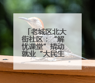 老城区北大街社区：“解忧课堂”撬动就业“大民生”