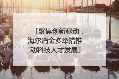 聚焦创新驱动，海尔消金多举措推动科技人才发展