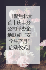 聚焦北大荒丨庆丰分公司举办企地联动“安全生产月”启动仪式