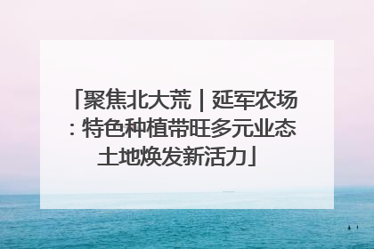 聚焦北大荒｜延军农场：特色种植带旺多元业态 土地焕发新活力
