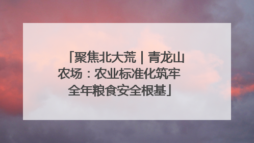 聚焦北大荒｜青龙山农场：农业标准化筑牢全年粮食安全根基