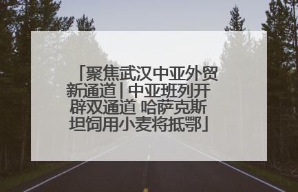 聚焦武汉中亚外贸新通道│中亚班列开辟双通道 哈萨克斯坦饲用小麦将抵鄂