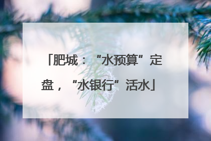 肥城：“水预算”定盘，“水银行”活水