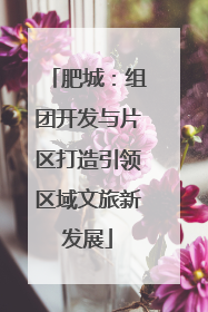 肥城：组团开发与片区打造引领区域文旅新发展