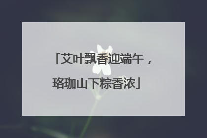 艾叶飘香迎端午，珞珈山下粽香浓