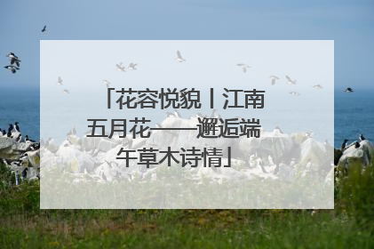 花容悦貌丨江南五月花——邂逅端午草木诗情