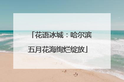 花语冰城：哈尔滨五月花海绚烂绽放