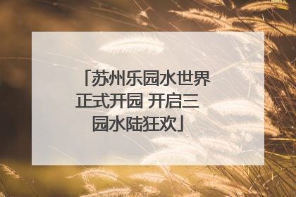 苏州乐园水世界正式开园 开启三园水陆狂欢