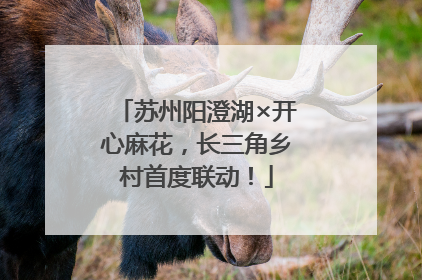 苏州阳澄湖×开心麻花，长三角乡村首度联动！