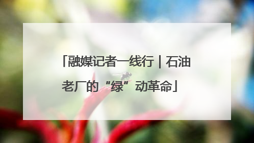 融媒记者一线行｜石油老厂的“绿”动革命
