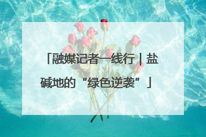 融媒记者一线行｜盐碱地的“绿色逆袭”