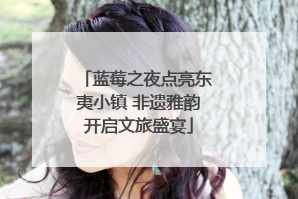 蓝莓之夜点亮东夷小镇 非遗雅韵开启文旅盛宴