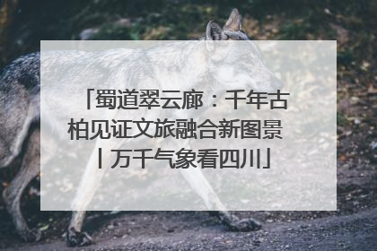蜀道翠云廊：千年古柏见证文旅融合新图景丨万千气象看四川