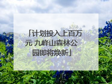 计划投入上百万元 九峰山森林公园即将焕新