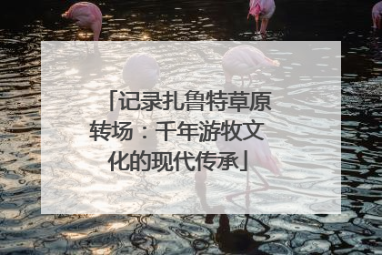 记录扎鲁特草原转场：千年游牧文化的现代传承