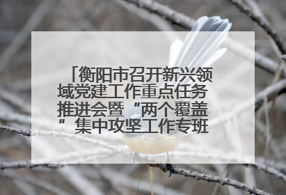 衡阳市召开新兴领域党建工作重点任务推进会暨“两个覆盖”集中攻坚工作专班 第一次会议